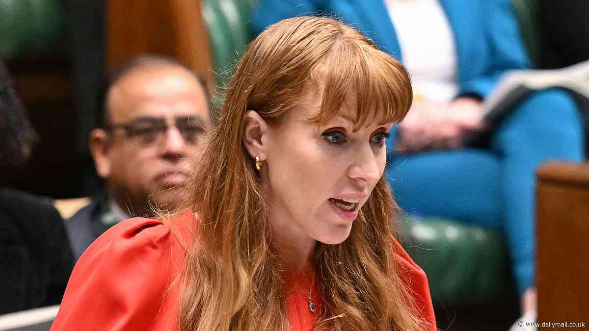 Revealed: Angela Rayner's dalliance with... the Liberal Democrats as party nominated her for two council-appointed school governorships in 2000s