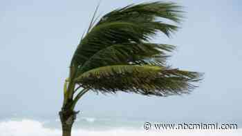 Wind advisory across South Florida, rare high surf advisory in Broward