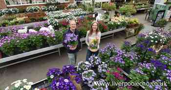 Oldest garden centres and nurseries you can visit on Merseyside