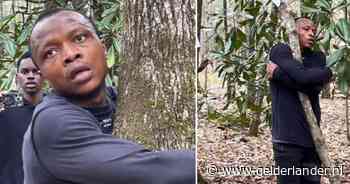 Ghanese boomknuffelaar breekt wereldrecord