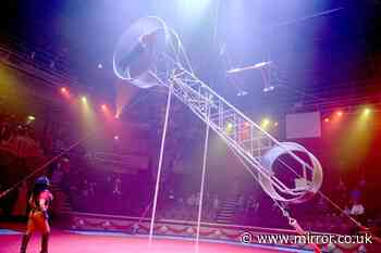 Blackpool Tower circus performer falls from 'Wheel of Death' as shocked crowd watches on