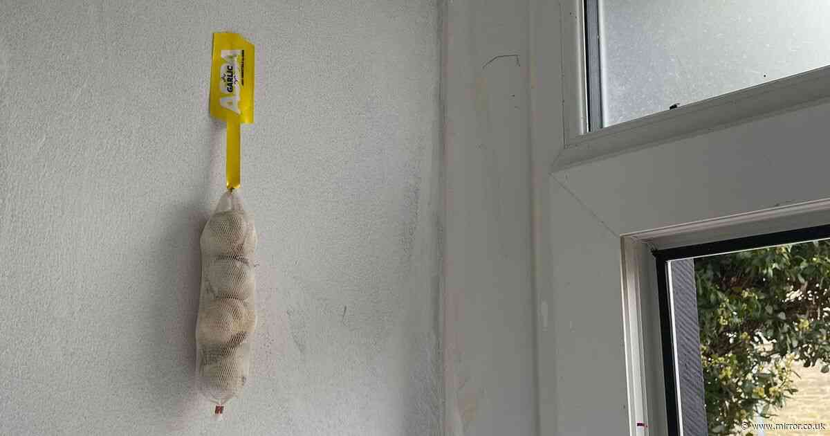 Police raiding home in drugs sting left baffled by what they find hanging on the walls