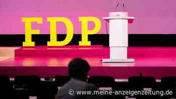 FDP setzt Bundesparteitag fort