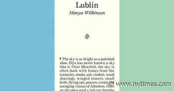 Book Review: ‘Lublin,’ by Manya Wilkinson