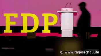 FDP-Bundesparteitag: Liberale lehnen Wiedereinstieg in Atomkraft ab