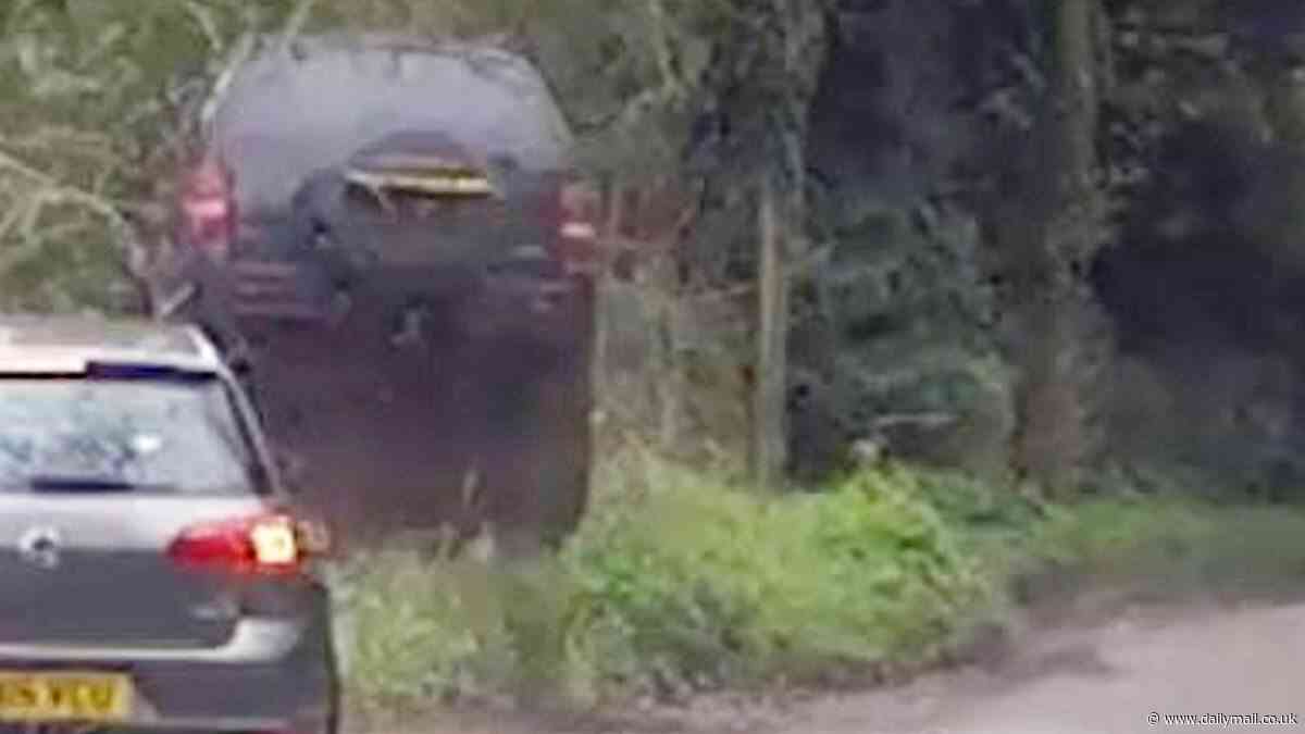 Shocking moment out of control driver ploughs into a hedge after police chase through country villages