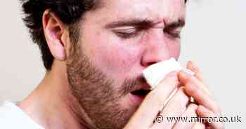 Unexpected items in your home that can trigger sneezing fits - full list of worst culprits