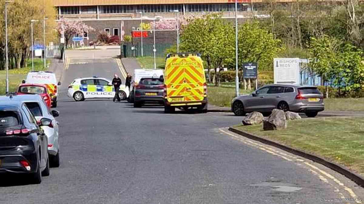 Man in his 40s dies after parachute 'incident' at County Durham industrial estate