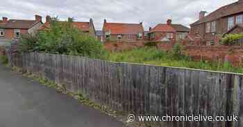 Fresh plans for bungalow with 'green roof' on vacant land in Roker given green light