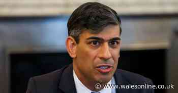 Rishi Sunak gives update on potential July general election ahead of local polls