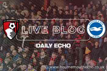 Premier League: AFC Bournemouth v Brighton - live updates