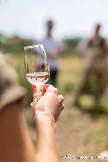 Notre sélection de cuvées de rosés 2023 produits par les vignerons... de Rouge Provence
