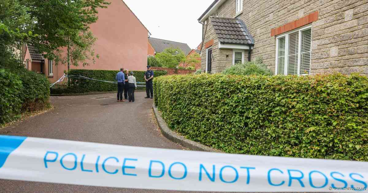 Husband heard wife being stabbed by son multiple times during 'acute psychosis'