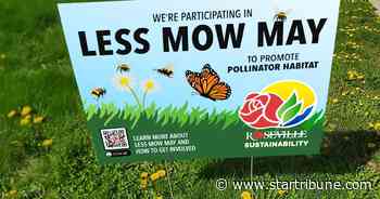 'No Mow May' eases to 'Less Mow May' in some Twin Cities suburbs