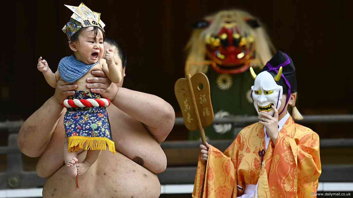 Inside the Nakizumo Crying Baby Festival: Bizarre 400-year-old event where staff in demon masks try to make competing babies cry