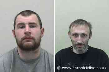Newcastle men jailed after woman stabbed in the chest as she walked through an Elswick Park
