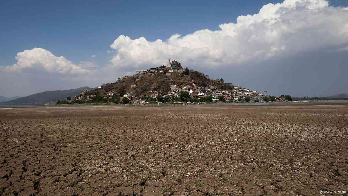 Streit in Mexiko spitzt sich zu: Avocado-Landwirte pumpen Kleinbauern das Wasser ab