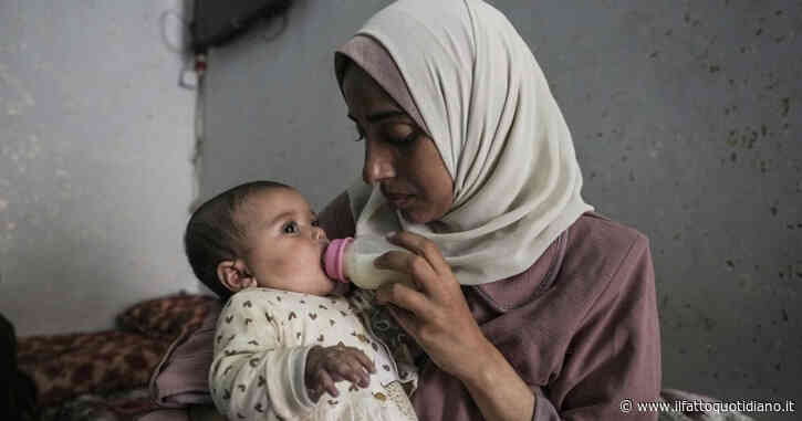 La ong Wck torna a Gaza un mese dopo l’uccisione da parte di Israele di 7 operatori. “Dobbiamo nutrire più persone possibile”
