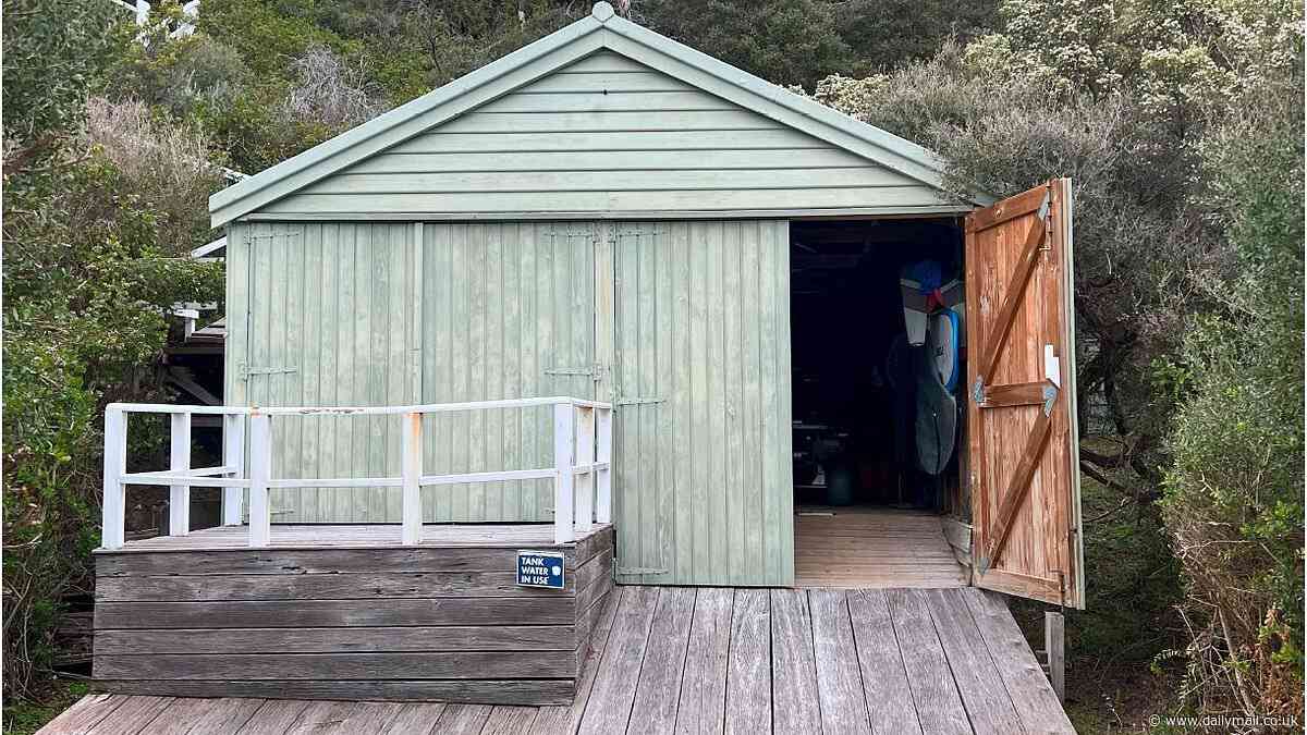 Portsea neighbourhood dispute: How a beach shack tore 'Millionaire's Walk' apart - as judge makes up her mind after Eddie McGuire gave bombshell evidence