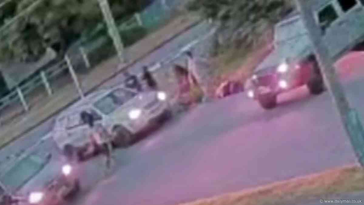 Woodridge abduction: Parents chase down machete-wielding kidnappers who allegedly snatched their 10-year-old son from a skate park south of Brisbane