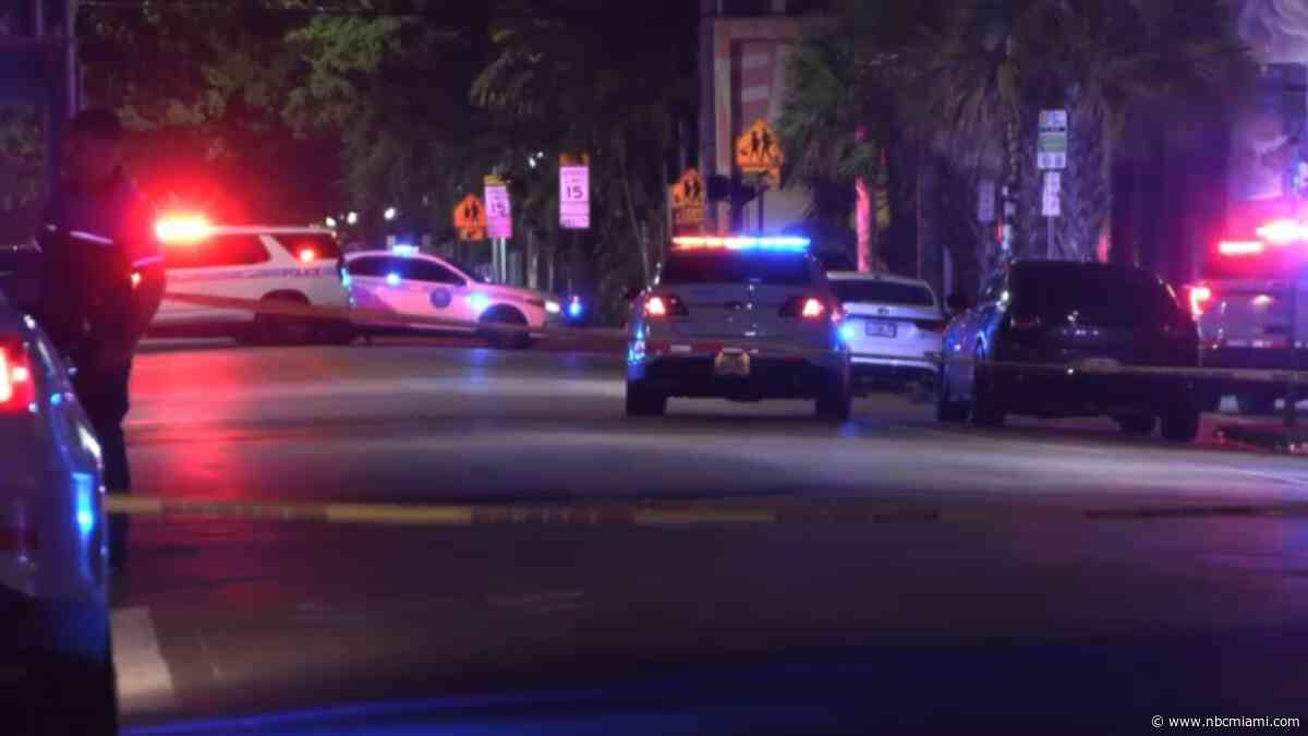 Several people detained after two victims were robbed at gunpoint in Wynwood: Police