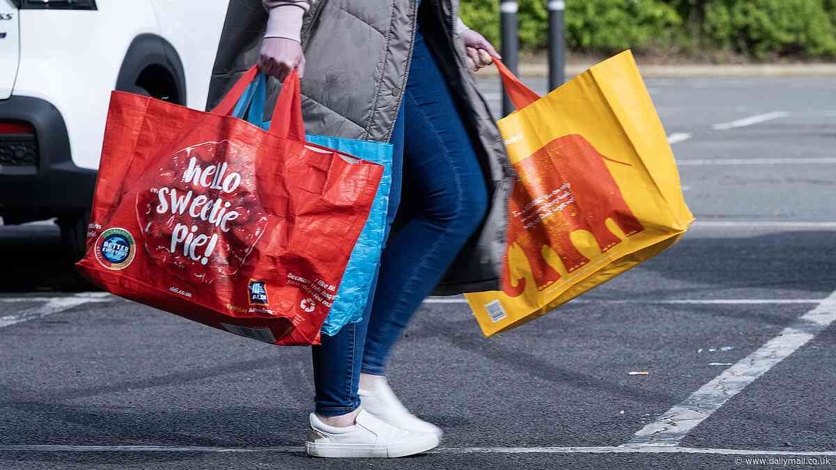 Revealed: How Britain's supermarkets turned 'bags for life' into just another way to fleece us at the checkouts - with the profits going straight back into their coffers (and not much gain for the planet…)