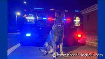 K9 and drone help find larceny suspect hiding in the woods in Enfield
