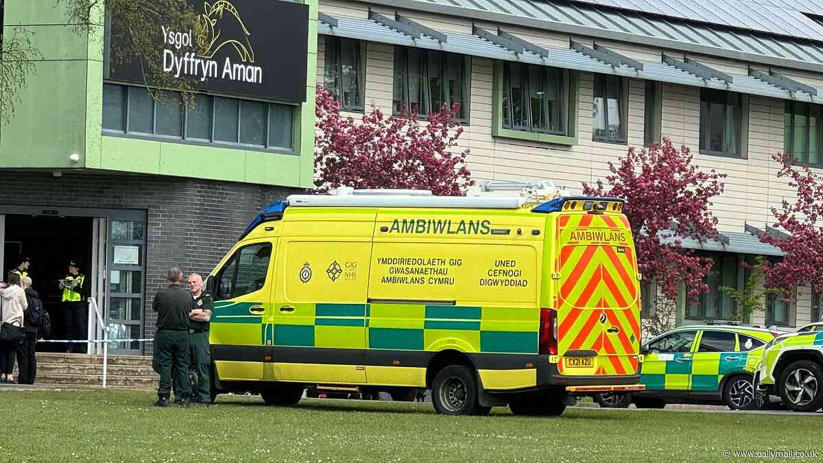 Ammanford school where two teachers and a pupil stabbed is set to re-open - as teenage boy, 15, arrested for 'making threats online in connection with knife rampage' is released on bail