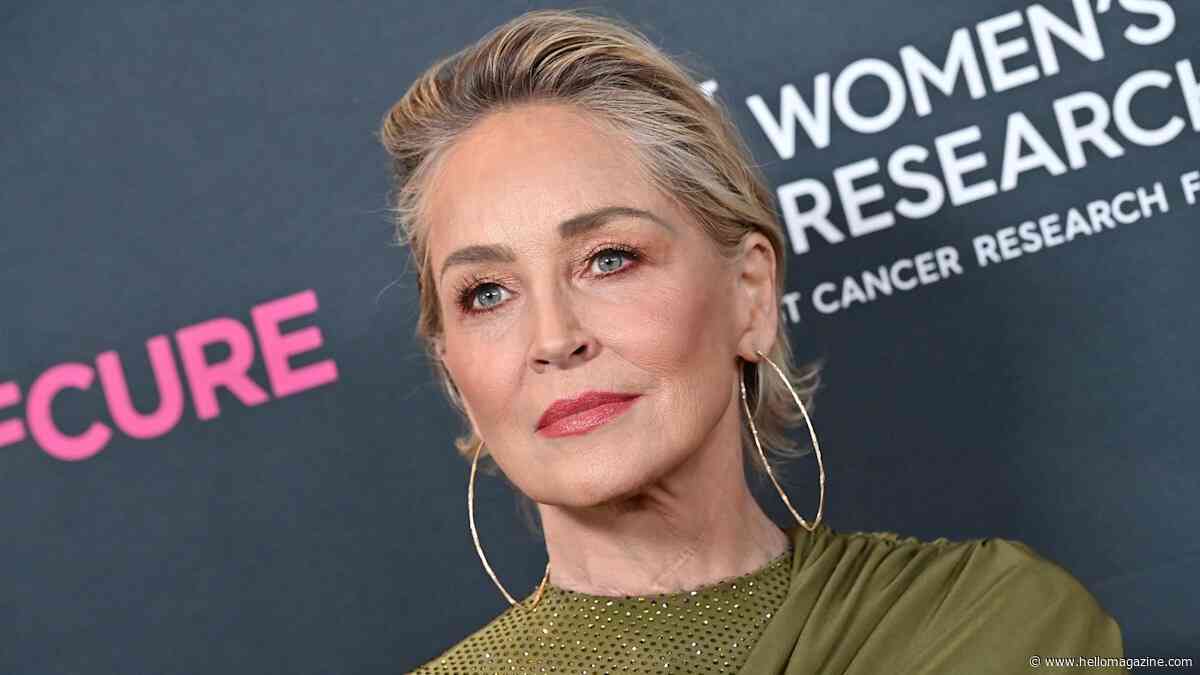 Sharon Stone sued for $35,000 over car crash that caused woman 'personal injury'
