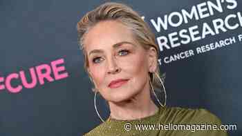 Sharon Stone sued for $35,000 over car crash that caused woman 'personal injury'