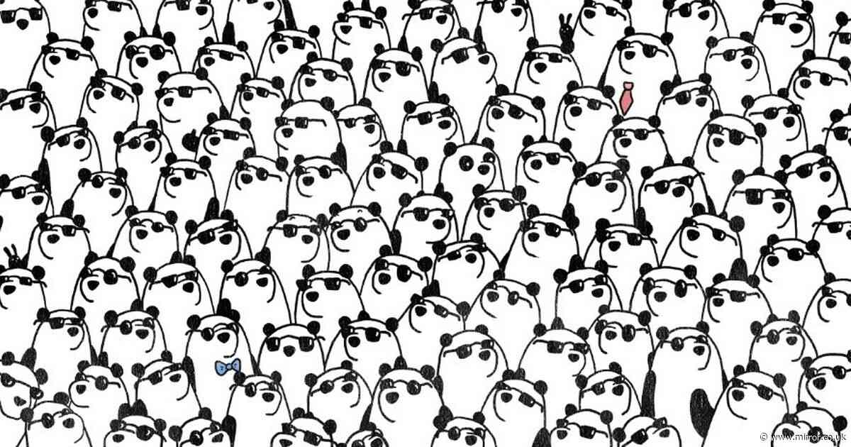 You're a true puzzle master if you can spot three pandas without sunglasses