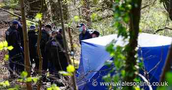 Kersal Dale: More human remains discovered in torso murder probe