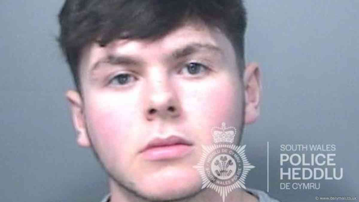 Teenager, 18, who stabbed Grindr date 14 times in the back before pretending he had been tricked is sentenced to three-and-a-half years