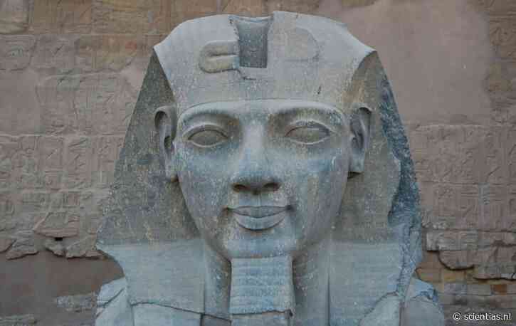 Ramses II eindelijk weer compleet: archeologen vinden na bijna 100 jaar ook de bovenste helft van zijn immense standbeeld