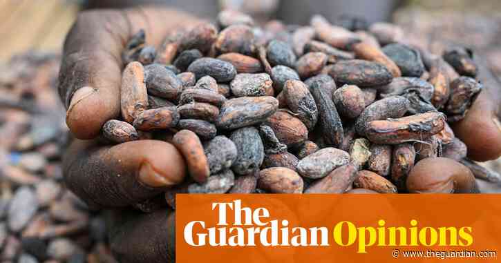 The Guardian view on the price of chocolate: cocoa producers face bitter truths | Editorial