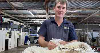 Brighter upside as wool market lifts another 14c/kg