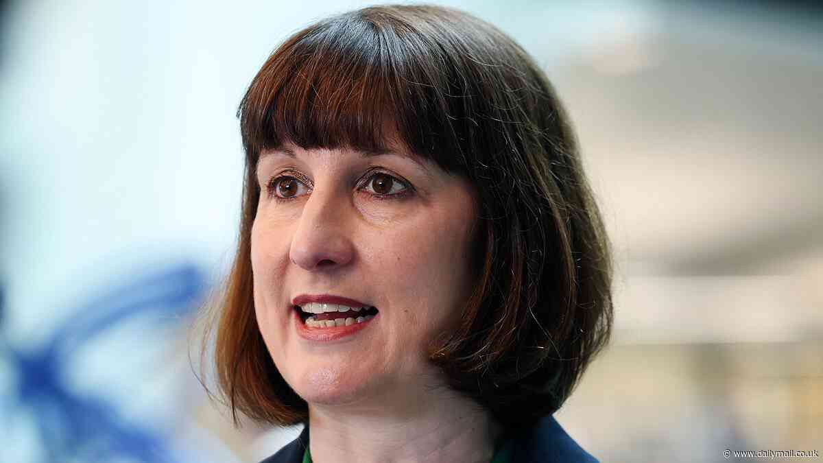 Rachel Reeves took a £10,000 donation and had a free holiday from Labour mayoral hopeful