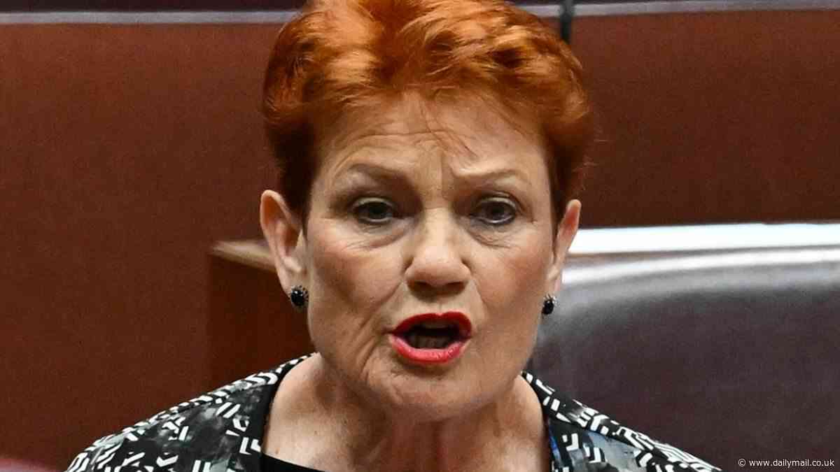 Pauline Hanson hate-speech trial set to open after she told Greens MP to 'p*** off back to Pakistan'