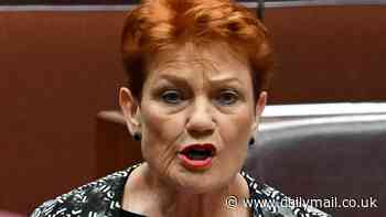 Pauline Hanson hate-speech trial set to open after she told Greens MP to 'p*** off back to Pakistan'