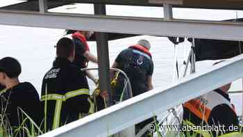 Bootsführer stürzt in die Dove Elbe und treibt bäuchlings im Wasser