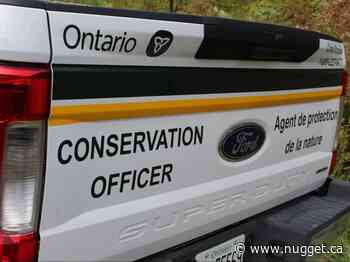 North Bay hunter fined $6,000 and one-year suspension