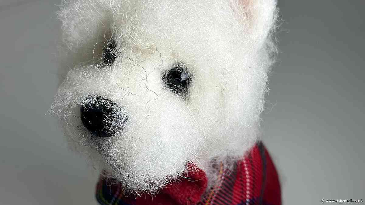 Dogglegangers! Scottish needle artist creates eerily lifelike recreations of her customer's beloved dead pets and even incorporates the deceased animals' fur in her £130 dolls
