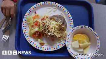 Children hungry after school meals, says commissioner