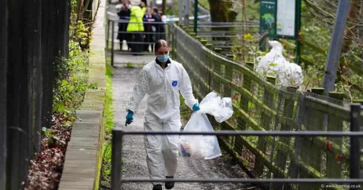 Kersal Dale murder latest: Police find more human remains after 'headless torso' discovery