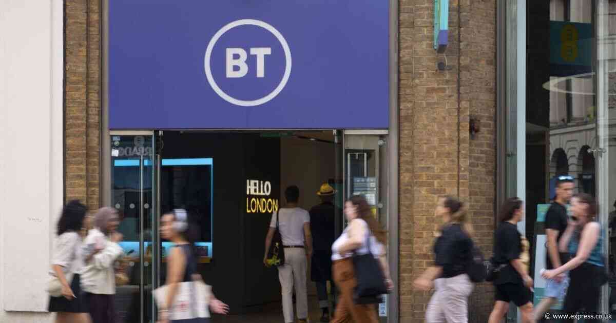 BT 'cutting off lifeline' for elderly as tech giant axes free online phone book