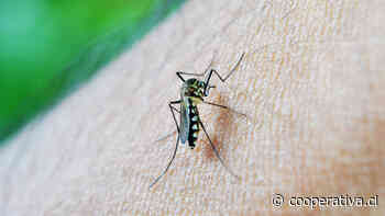 Epidemia de dengue en Argentina suma 280 muertos
