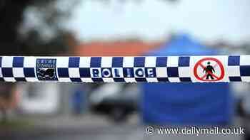 Dandenong, Melbourne: Man is rushed to hospital after accidentally shooting himself with a homemade gun
