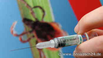Hohe Infektionsgefahr: Wer sich jetzt gegen FSME impfen lassen sollte