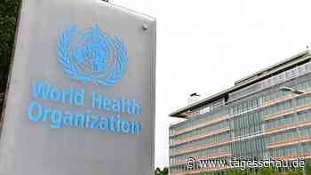 WHO-Pandemievertrag: Das neue Feindbild der Verschwörungsszene