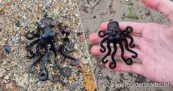 13-jarige jongen vindt ‘heilige graal’ onder strandjutters: zeldzame Lego-octopus